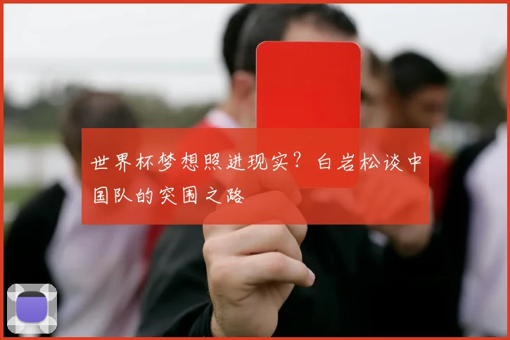 世界杯梦想照进现实?白岩松谈中国队的突围之路
