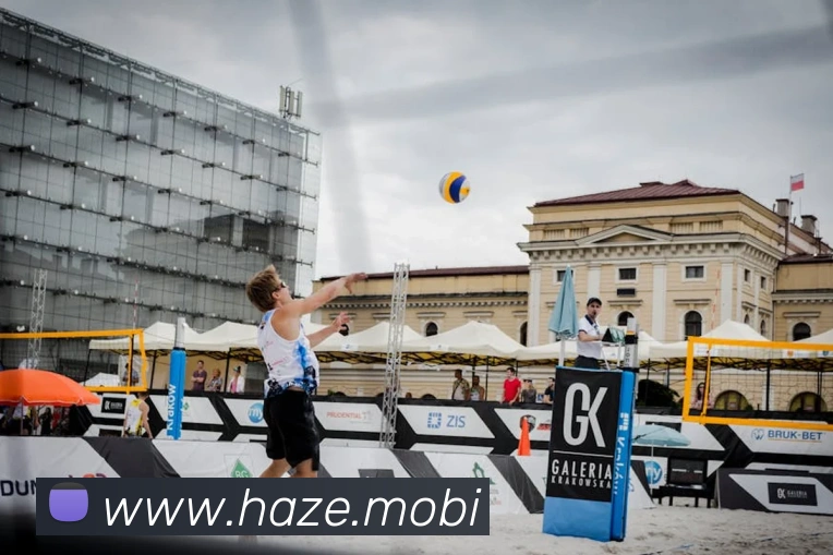 开云官方入口app平台生态图